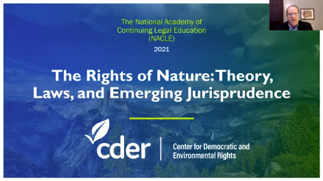 The Rights of Nature: Theory, Laws, and Emerging Jurisprudence Thumbnail